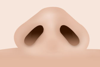 Step 01